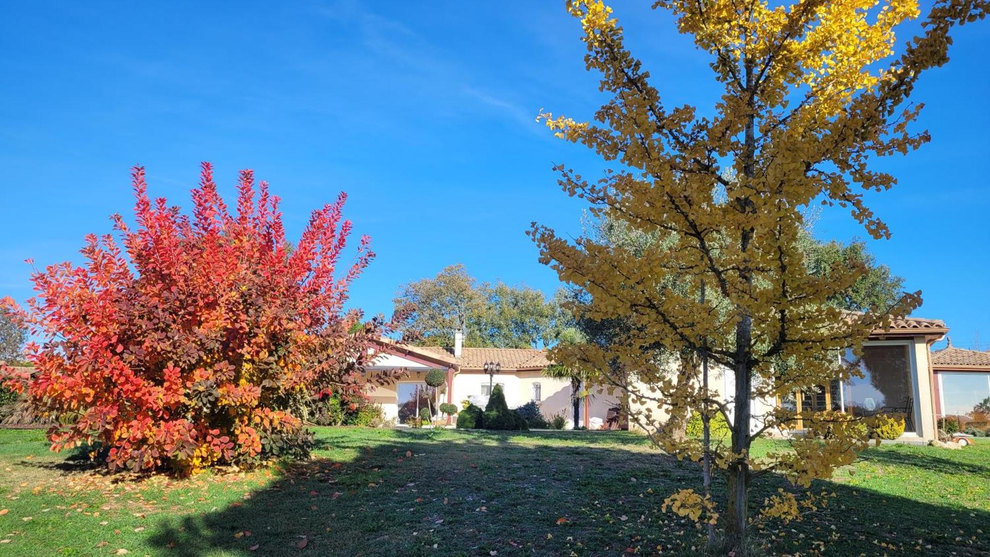 Le Clos Castel - Gite Equipe Casteljaloux Kültér fotó
